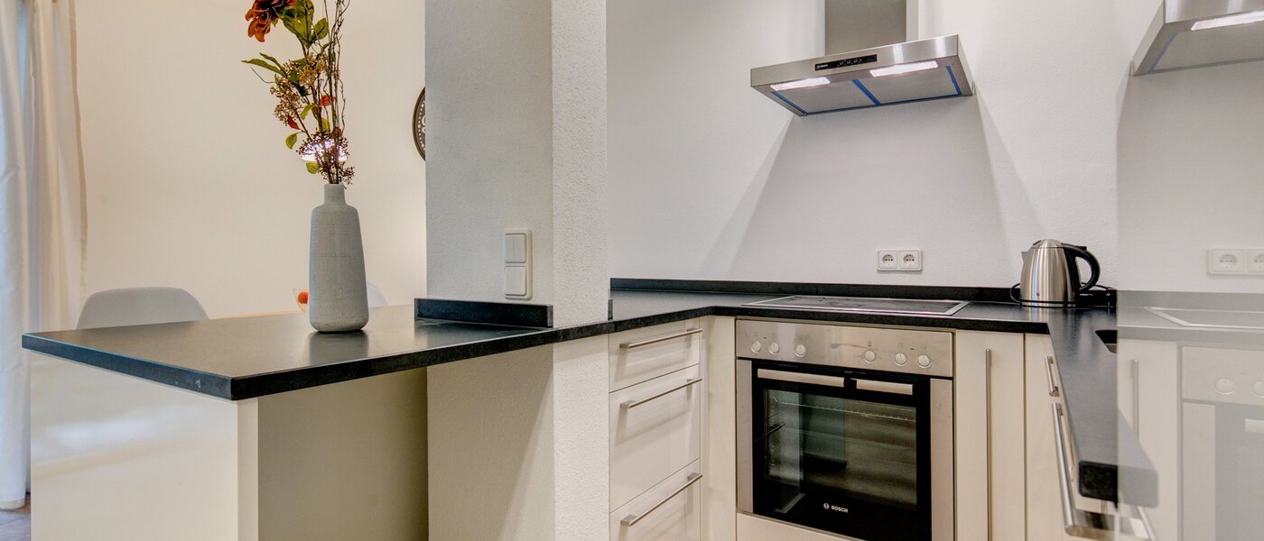 apartment München Maxvorstadt - Westen 02 kitchen 9732