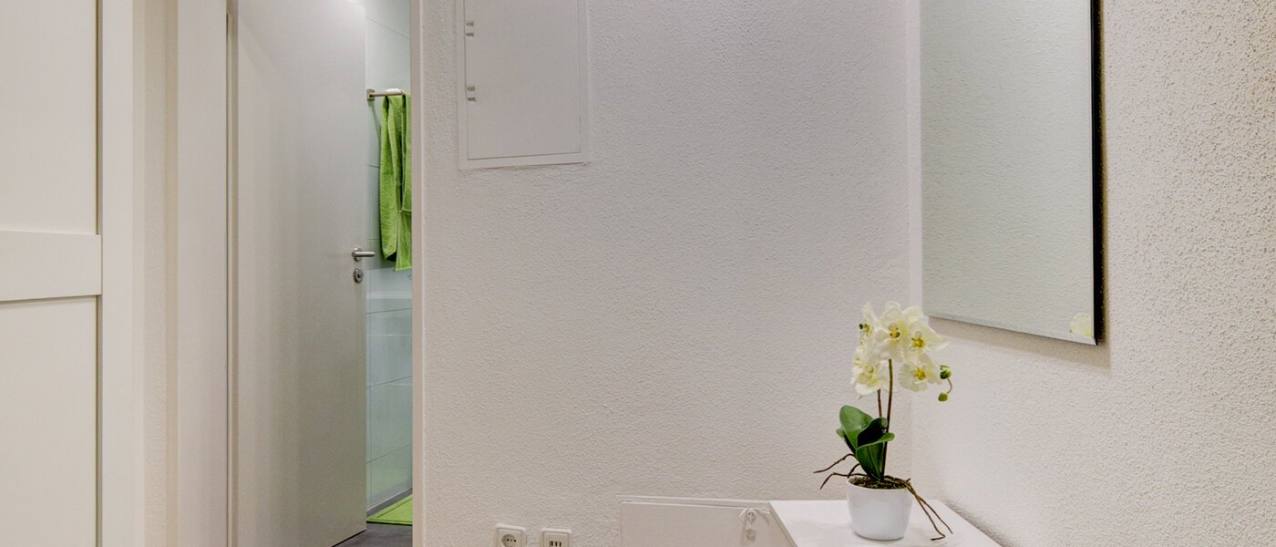 apartment München Maxvorstadt - Westen 01 hall 9732