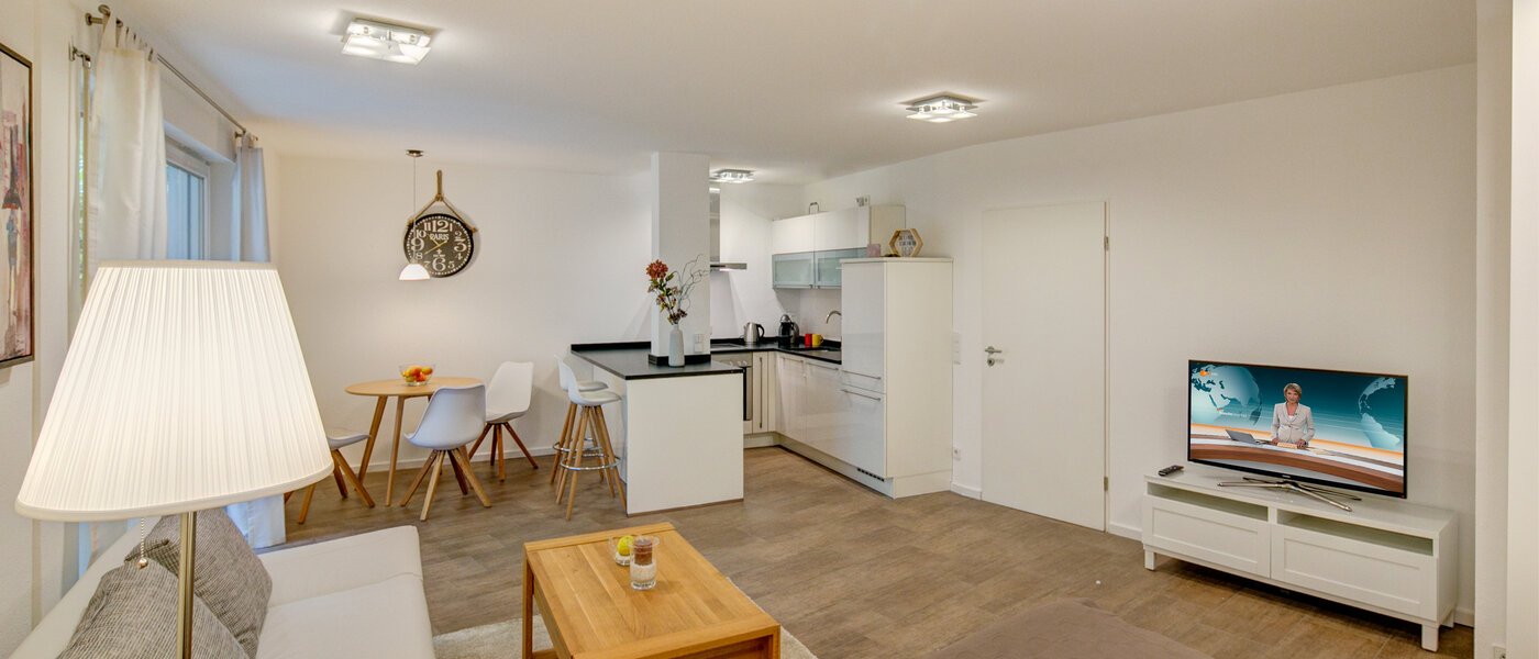 apartment München Maxvorstadt - Westen 04 living area 9732