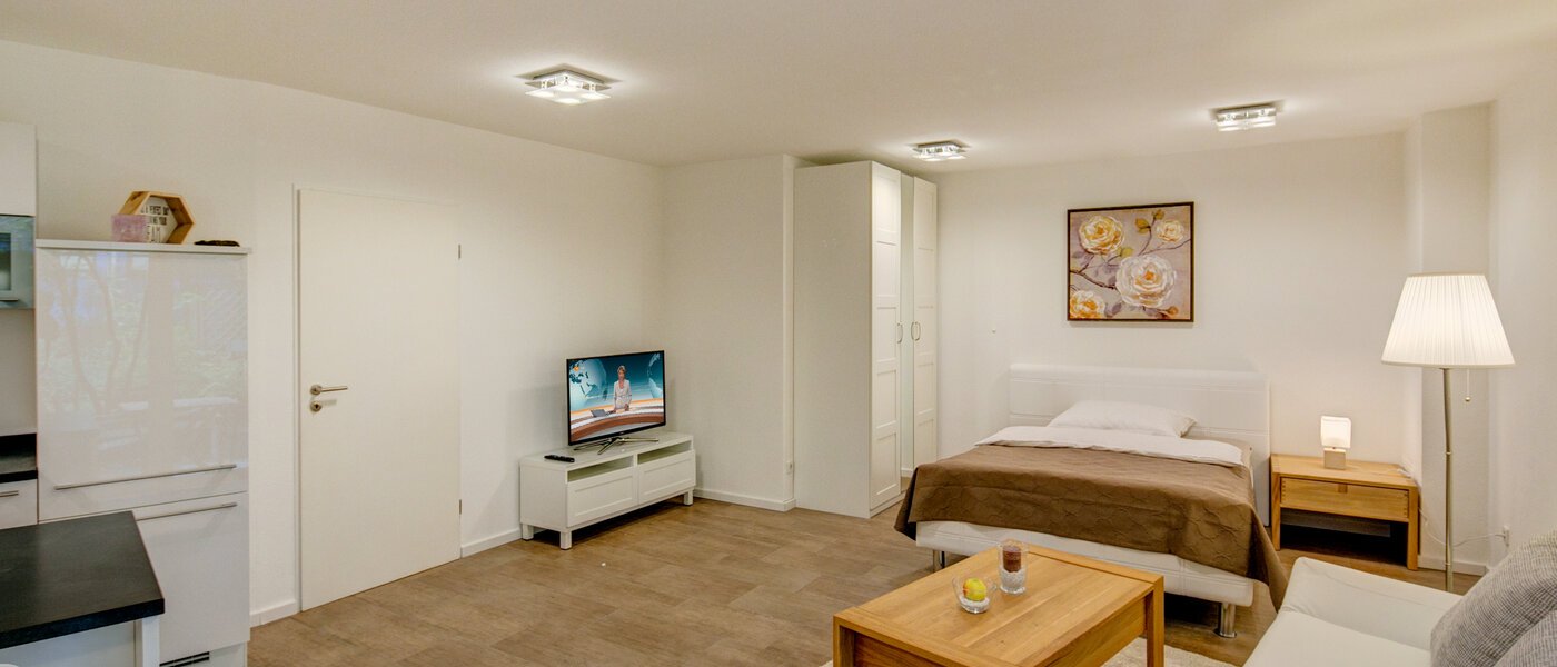 apartment München Maxvorstadt - Westen 05 living area 9732