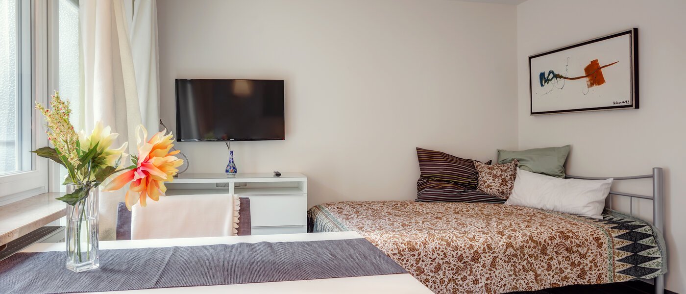 studio München Schwabing (rechts der Leopoldstraße) 01 living room 9736