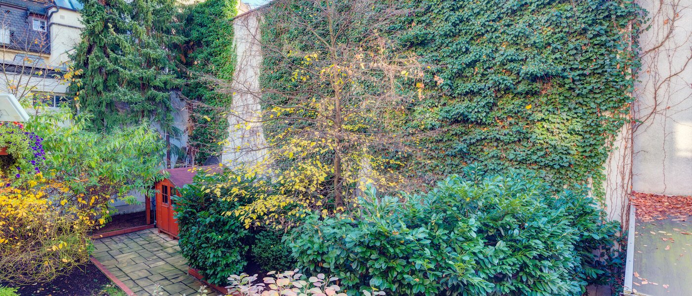 studio München Schwabing (rechts der Leopoldstraße) 01 view 9736