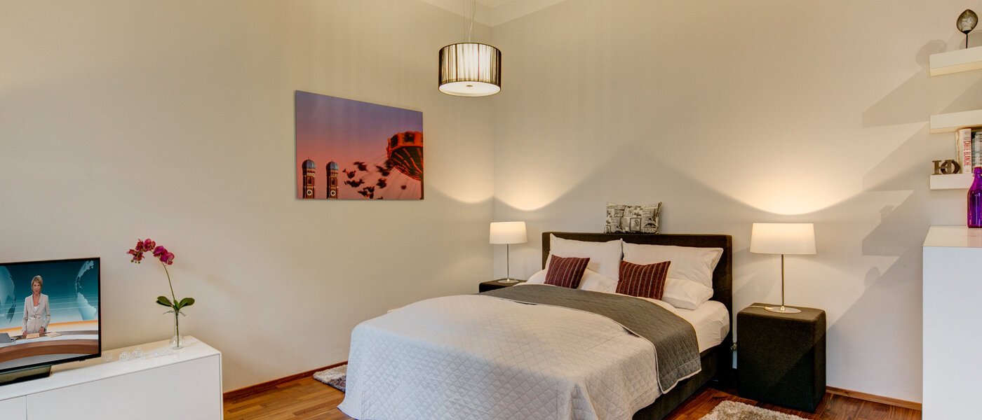 apartment München Ludwigsvorstadt 03 living room 9771