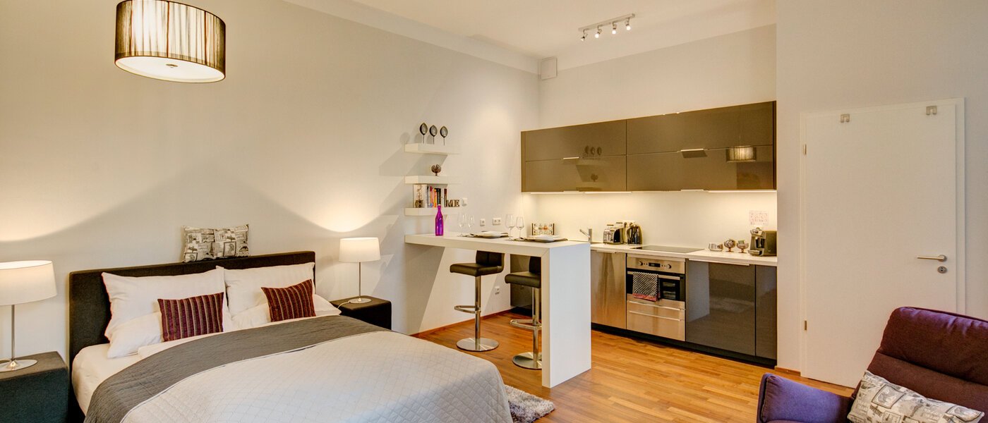 apartment München Ludwigsvorstadt 04 living room 9771