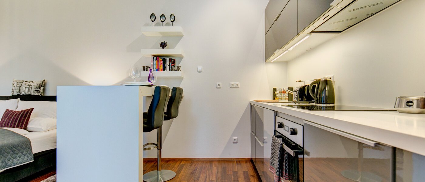 apartment München Ludwigsvorstadt 01 kitchen 9771