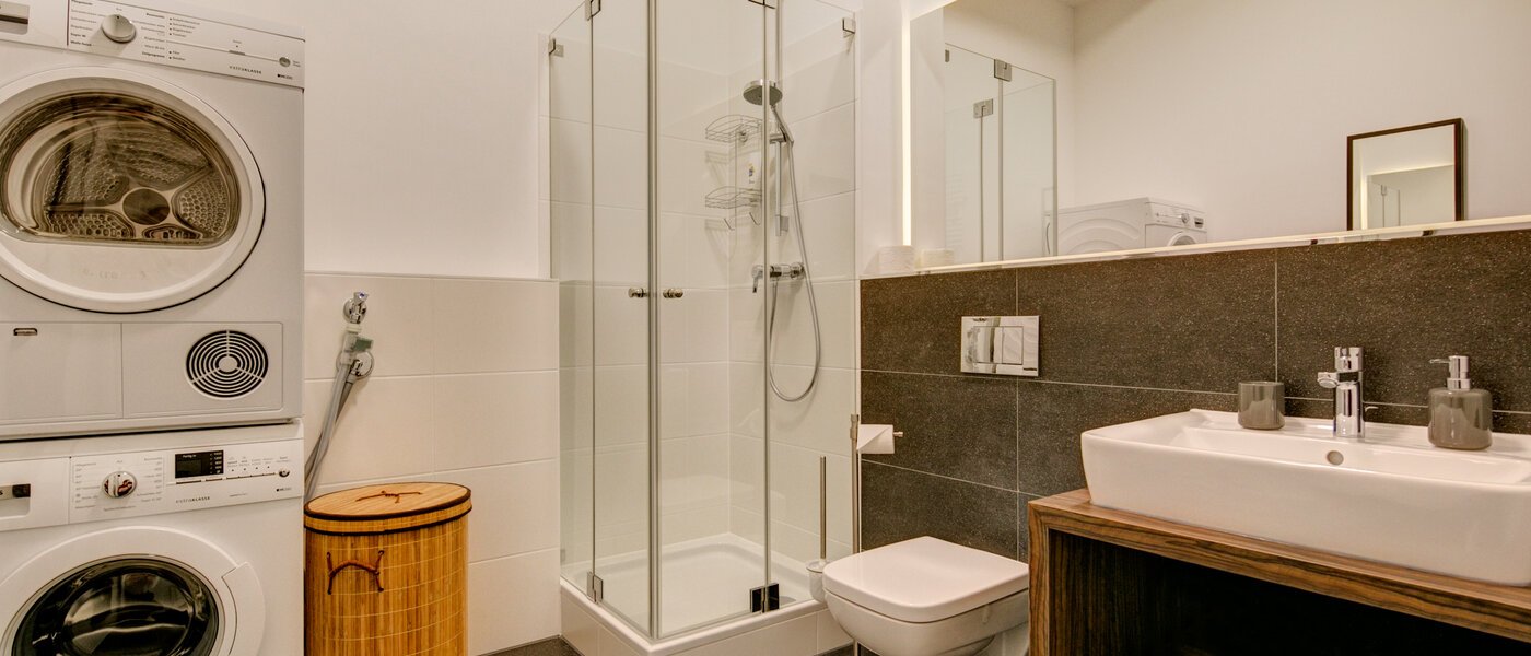 apartment München Ludwigsvorstadt 01 bathroom 9771