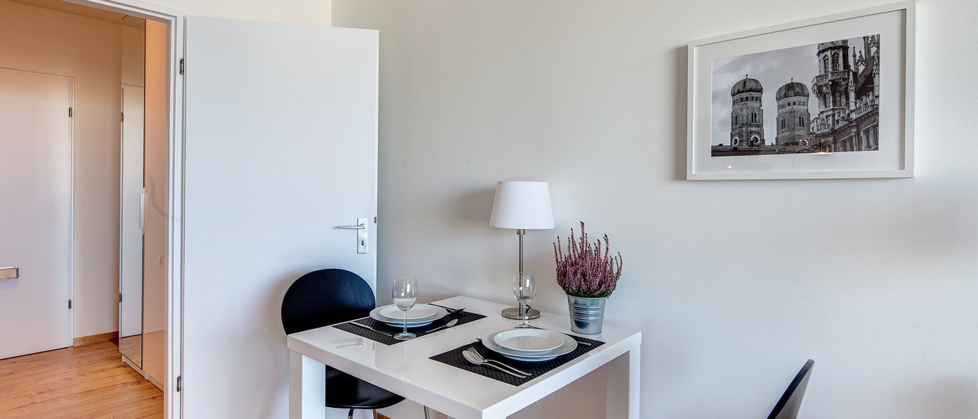 apartment München Haidhausen 03 living room 9774