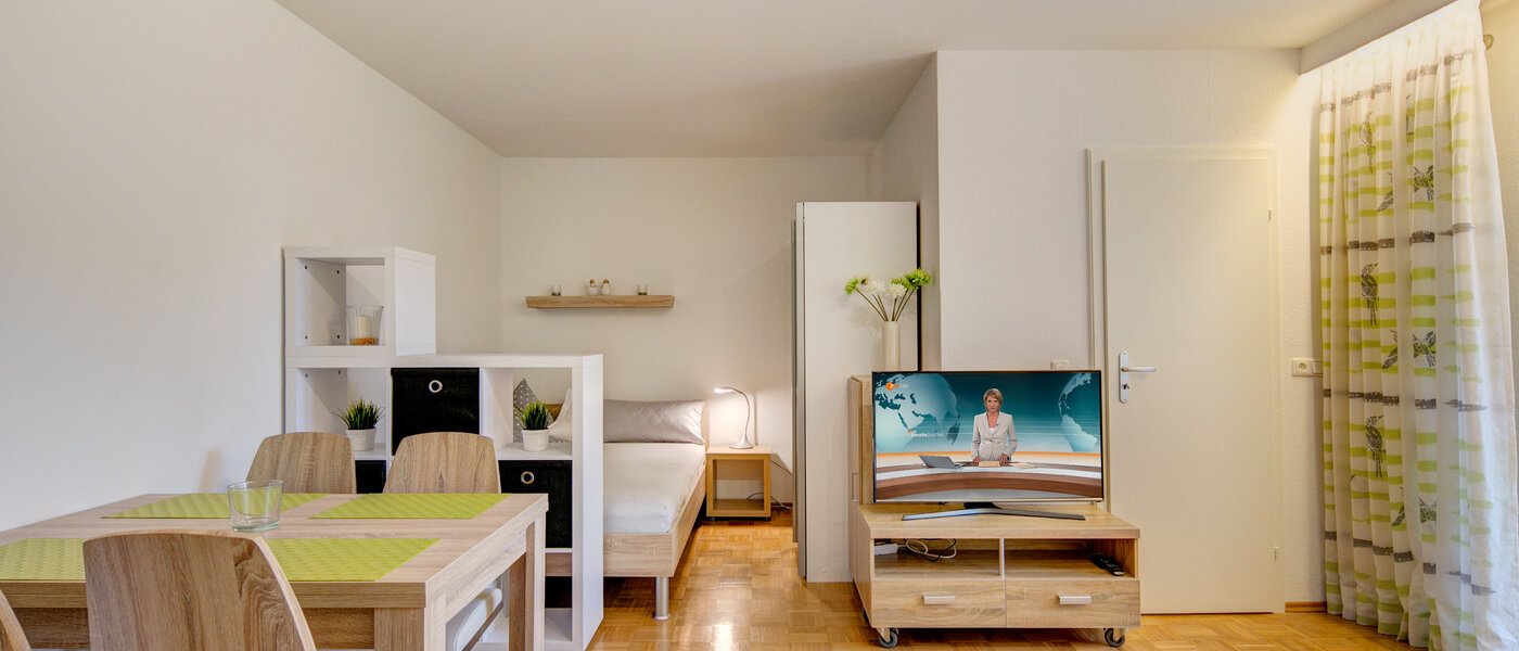 apartment München Obermenzing 03 living room 9775