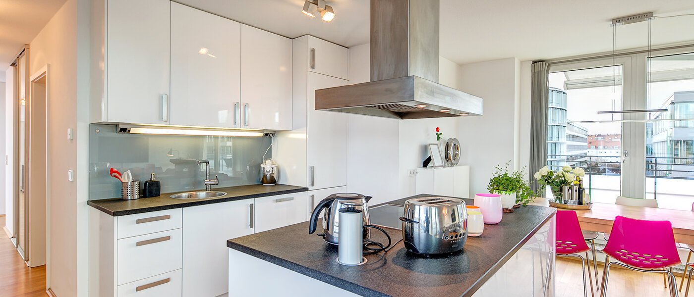 penthouse München Obergiesing 01 kitchen 9778