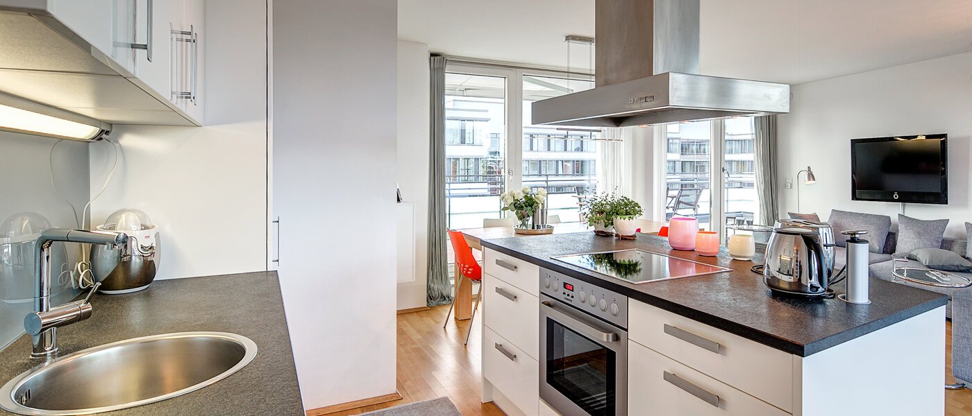 penthouse München Obergiesing 02 kitchen 9778