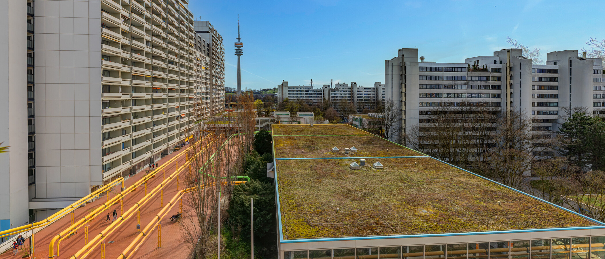 apartment München Olympiadorf 01 view 9781