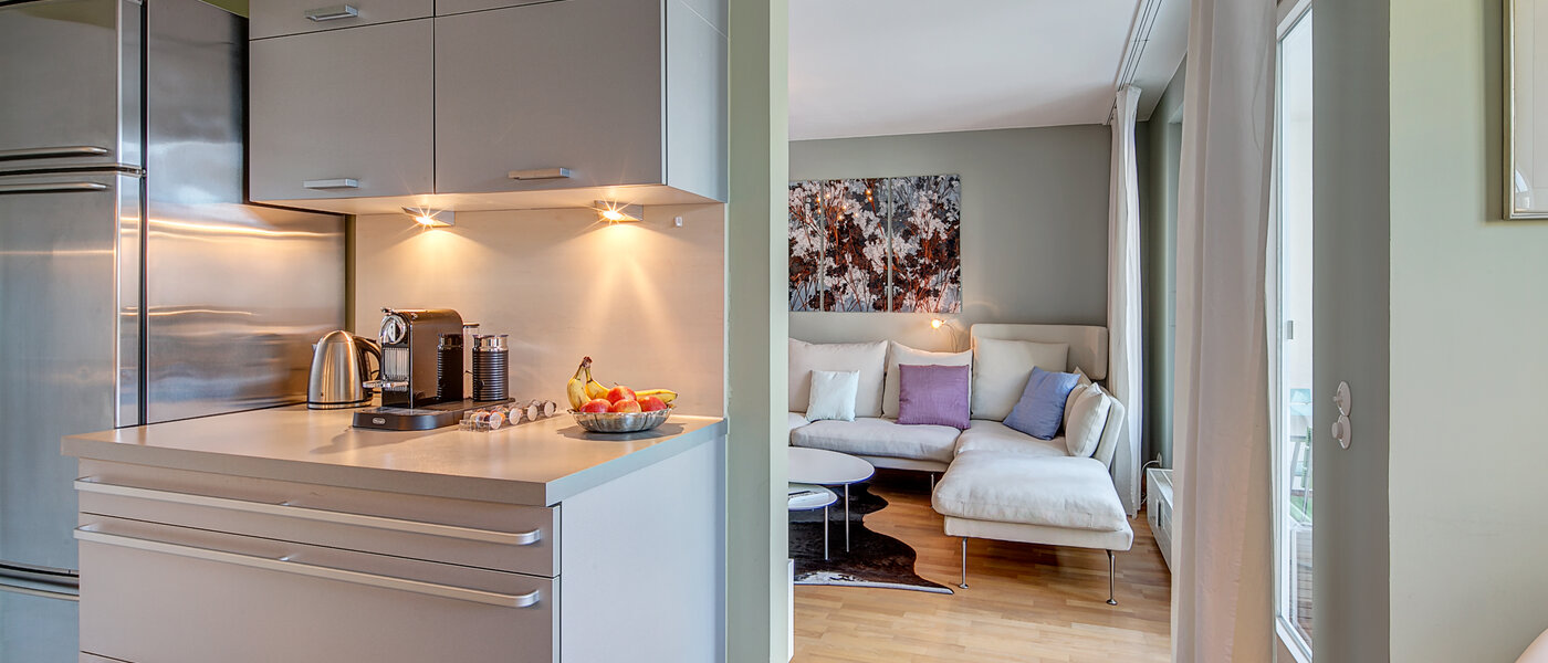 apartment München Nymphenburg-Gern 02 kitchen 9853