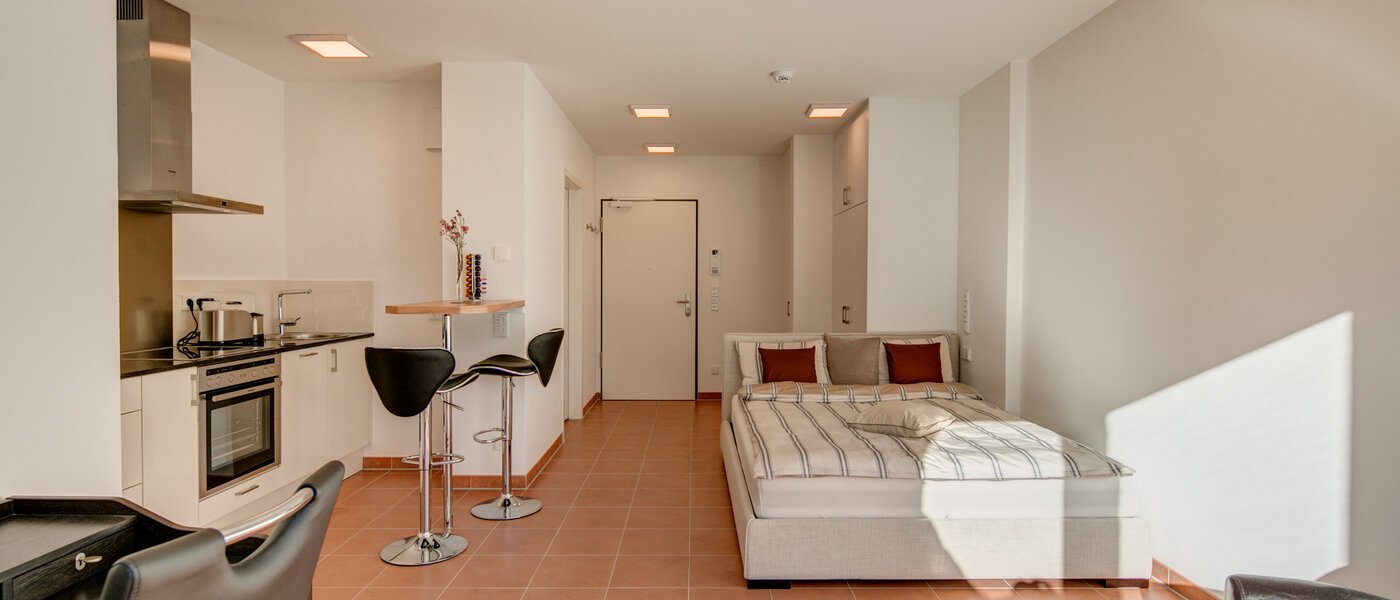 apartment München Isarvorstadt 03 living room 9891