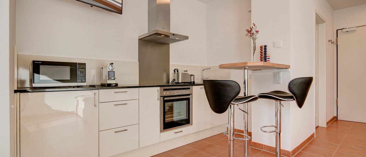 apartment München Isarvorstadt 01 kitchen 9891