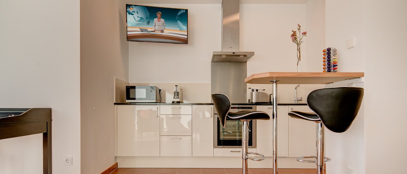 apartment München Isarvorstadt 02 kitchen 9891