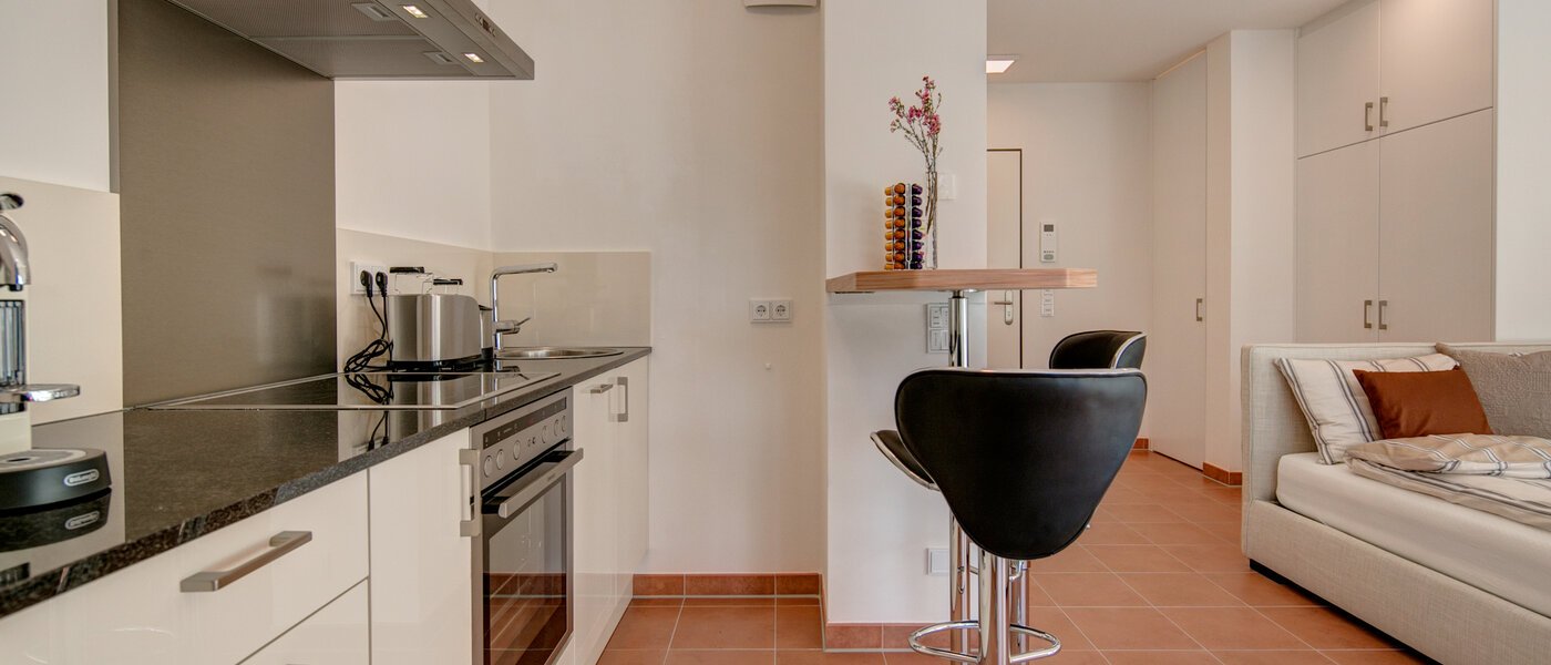 apartment München Isarvorstadt 03 kitchen 9891