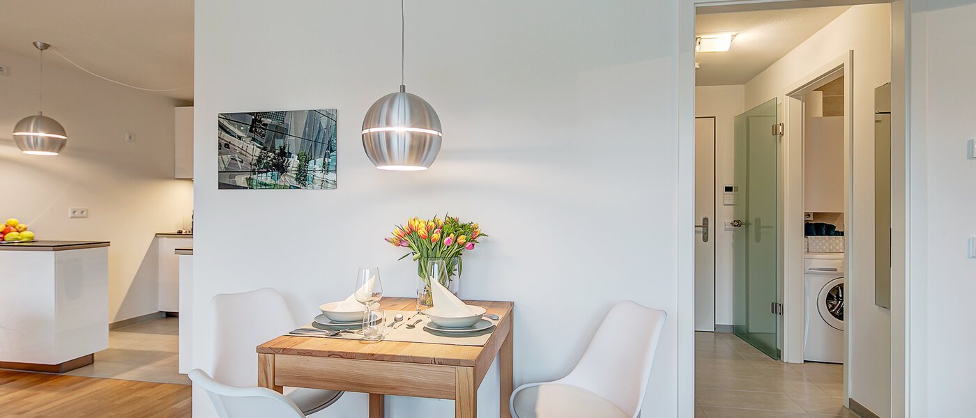 apartment München Schwabing-Georgenschwaige 05 living room 9904