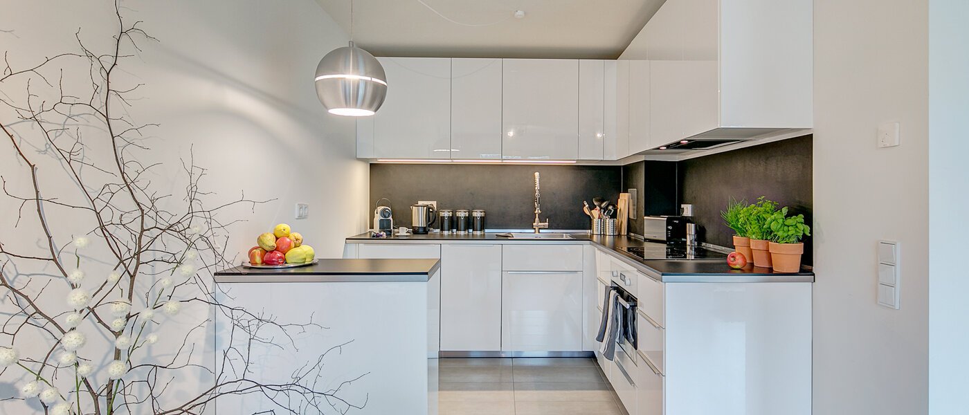 apartment München Schwabing-Georgenschwaige 01 kitchen 9904