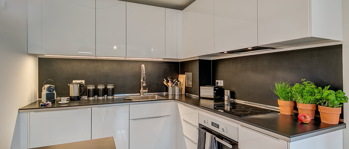 apartment München Schwabing-Georgenschwaige 02 kitchen 9904