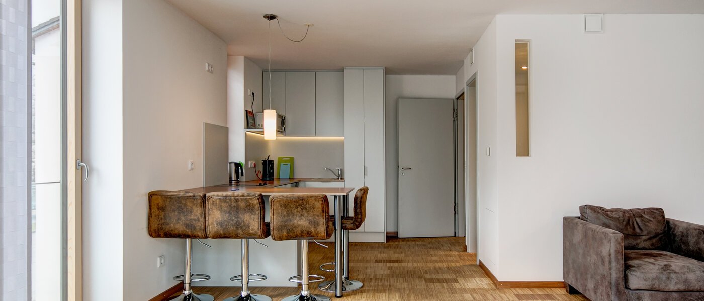 apartment Unterschleißheim Lohhof 05 living room 9906