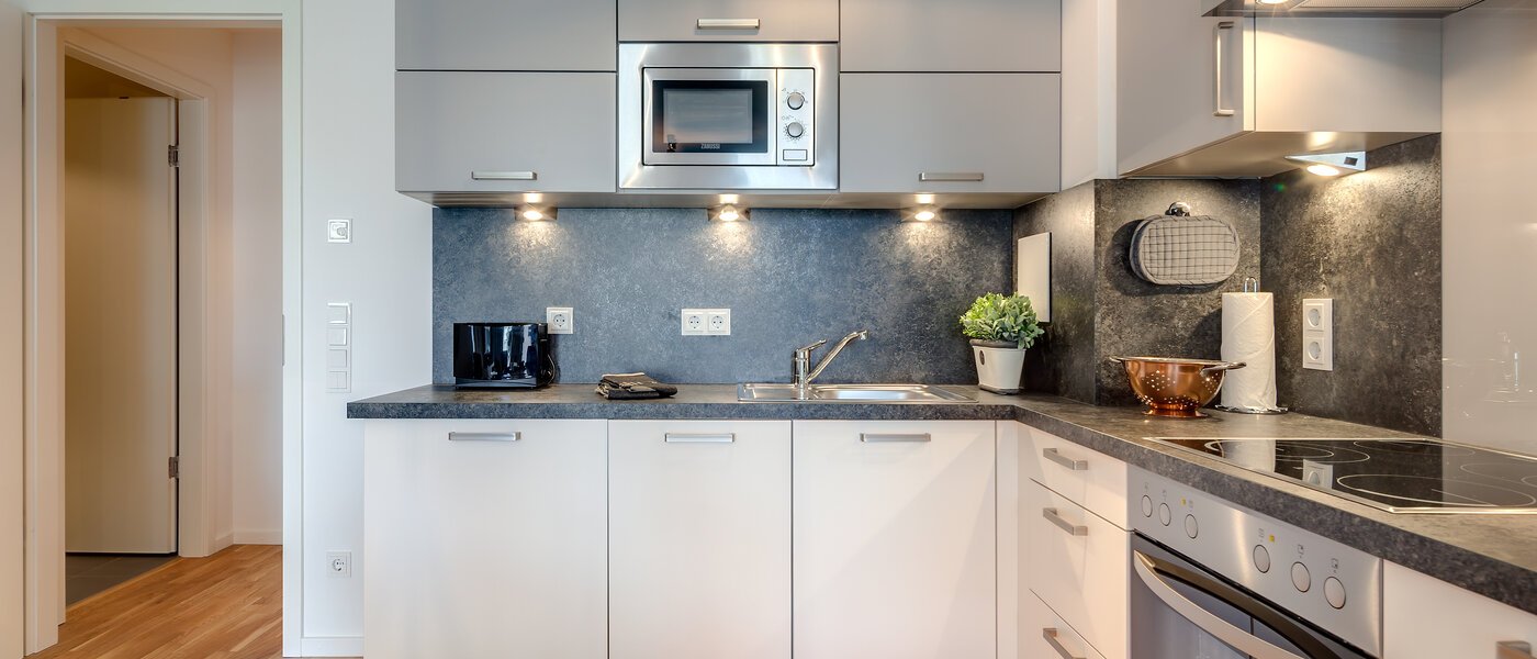 apartment München Lehel 02 kitchen 9937