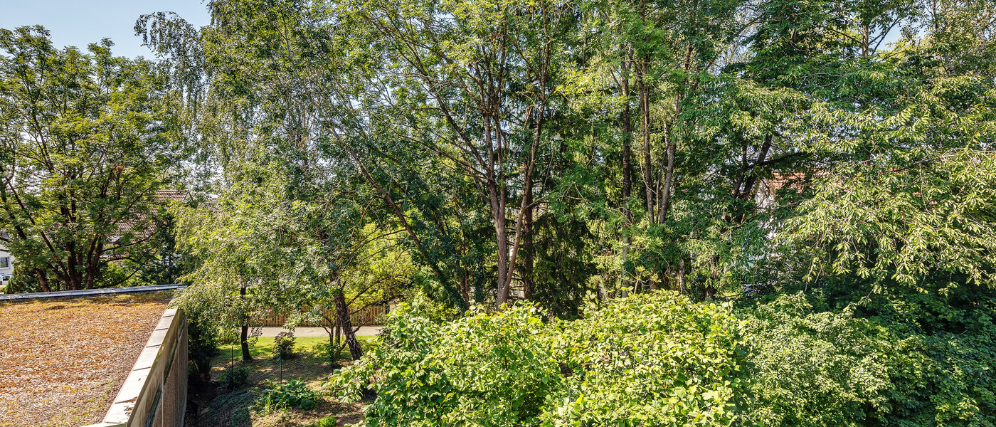 apartment München Moosach 02 view 9941