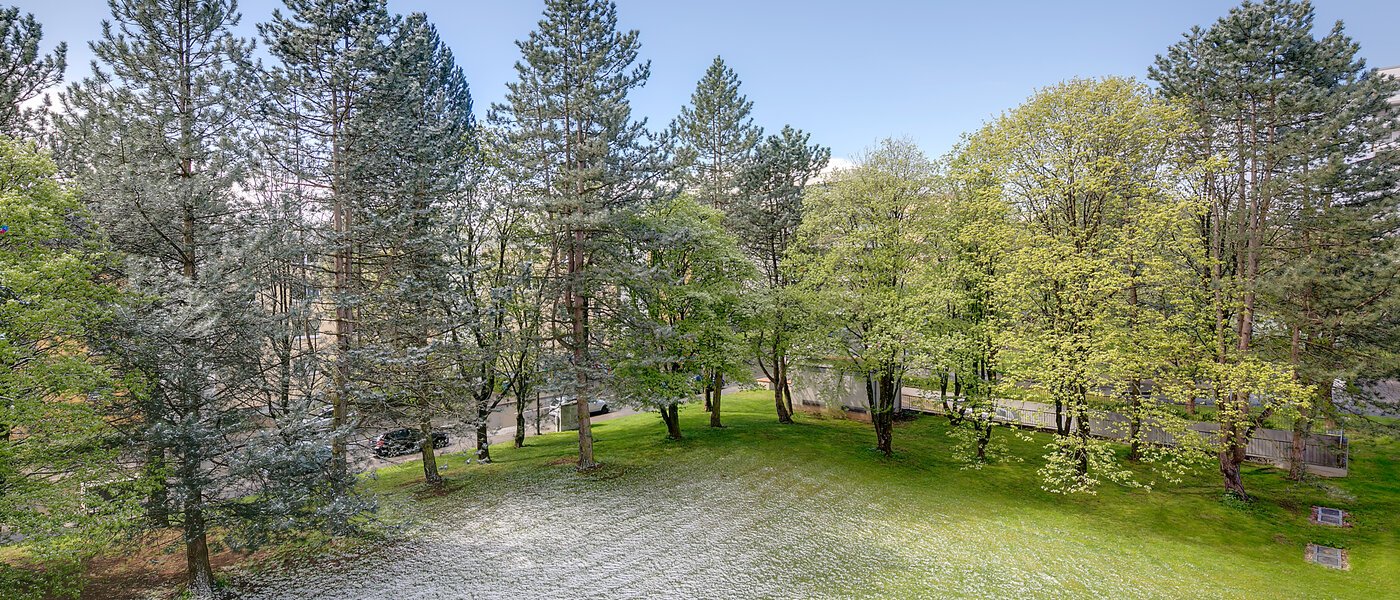 apartment München Ramersdorf 02 view 9990