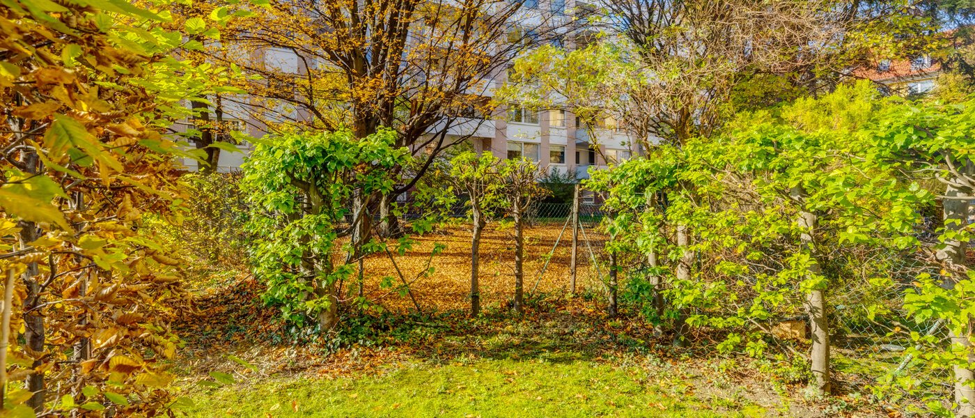 apartment München Haidhausen 01 garden 9999