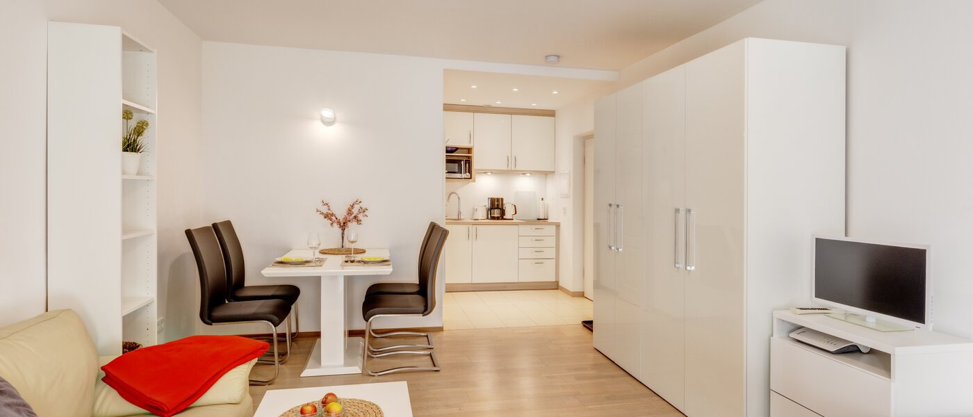 apartment München Haidhausen 04 living area 9999