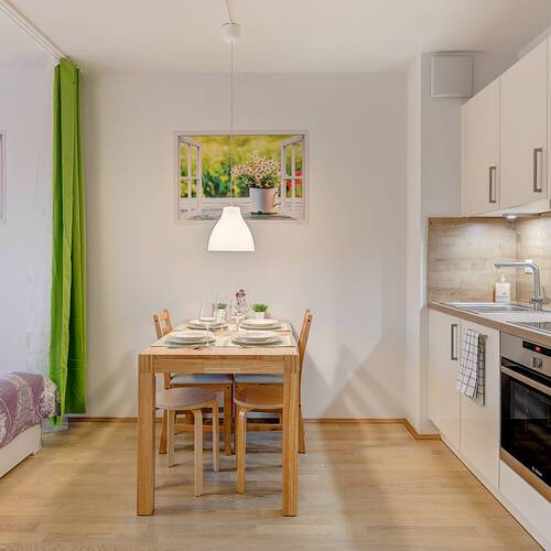 apartment with 1 room | Munich-Aubing | 10515