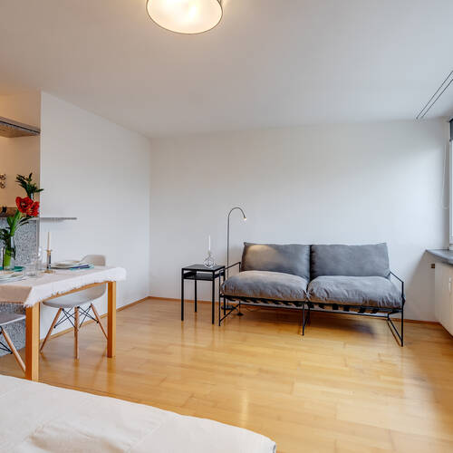 studio with 1 room | Munich-Schwabing-West | 11346