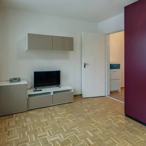 apartment with 1 room | Munich-Altstadt | 11371