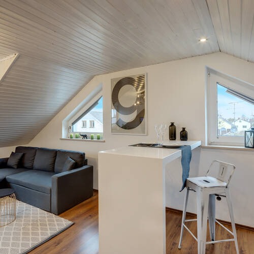 attic apartment with 2 room | Munich-Lerchenau | 11948