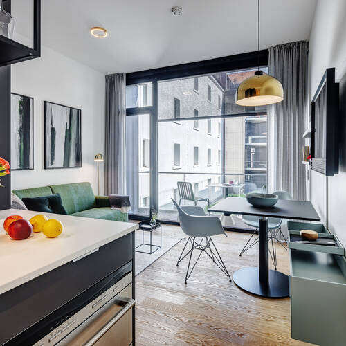 apartment with 1 room | Munich-Au-Haidhausen | 13114