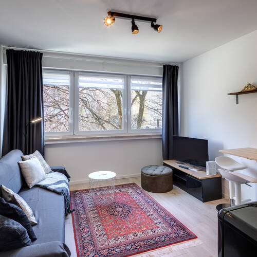 apartment with 1 room | Munich-Maxvorstadt | 13357