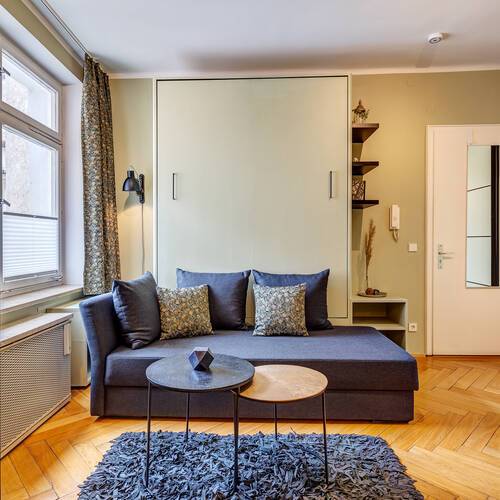 apartment with 1 room | Munich-Altstadt | 13374