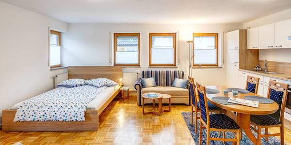 apartment with 1 room | Munich-Sendling-Westpark | 13796