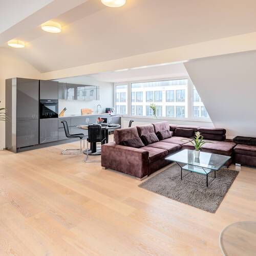 attic apartment with 2 room | Munich-Maxvorstadt | 14568