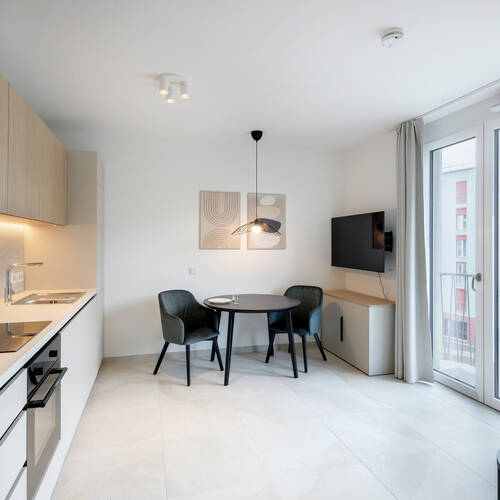 apartment with 1 room | Munich-Berg am Laim | 14937