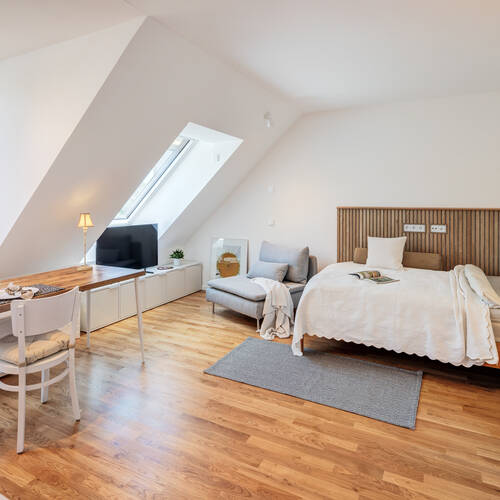 attic apartment with 1 room | Munich-Riem | 14957