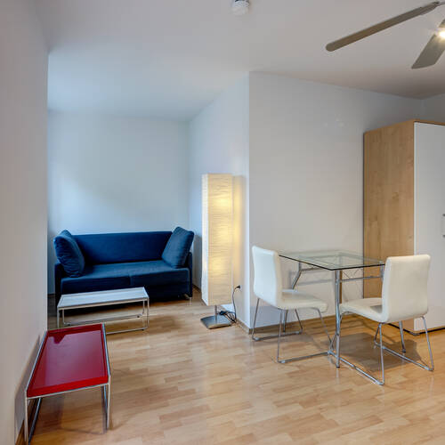 apartment with 1 room | Munich-Giesing | 3185