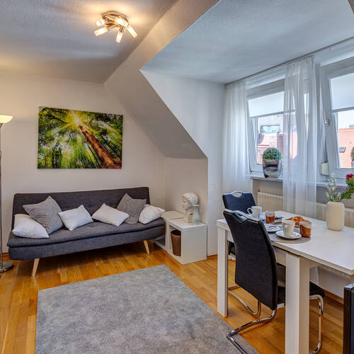 apartment with 1.5 room | Munich-Altstadt | 5396