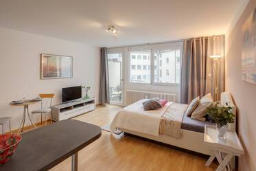 Attractively furnished studio in Maxvorstadt