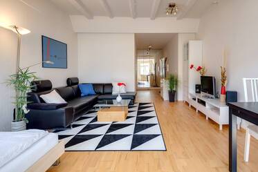 Spacious 1-room apartment with shared garden