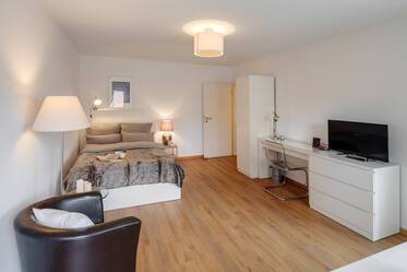 Bright 1-room apartment with modern furniture