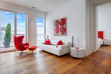 Luxuriously furnished apartment in Altstadt