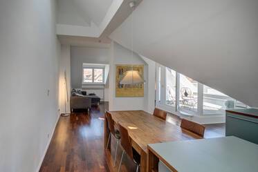 Beautifully furnished roof terrace apartment in Dreimühlenviertel