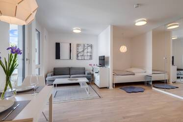 Modernly furnished apartment for rent 