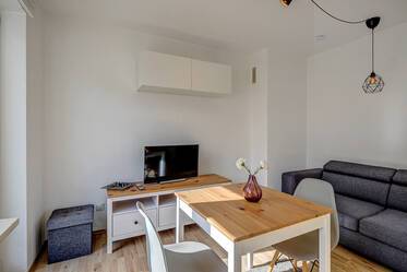 Bright 2-room apartment with large roof terrace