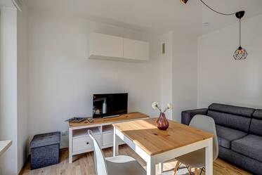 Renovated and newly furnished: 2-room apartment with large roof terrace in Munich-Giesing